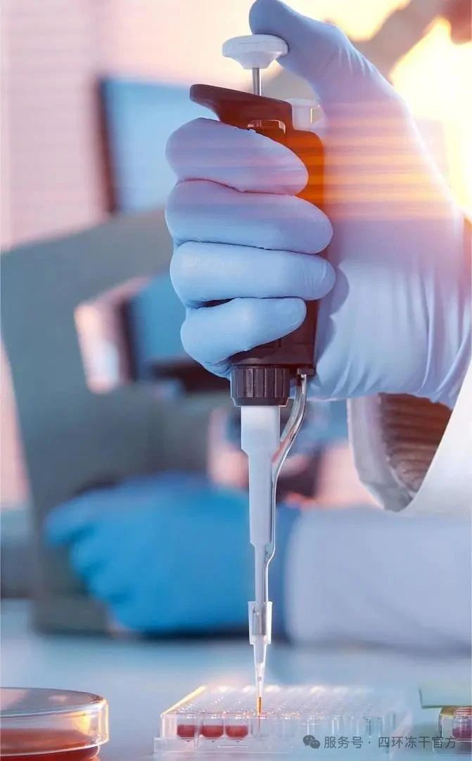 1752821544529046.jpg 6.jpg